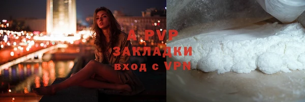 крисы Абаза