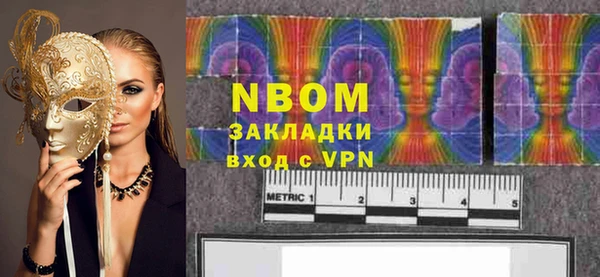 крисы Абаза
