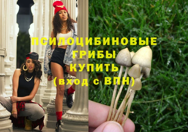 СК Алзамай