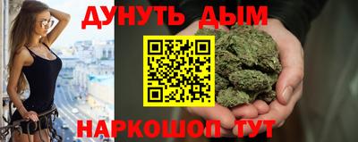 крисы Гатчина