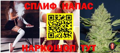 крисы Гатчина