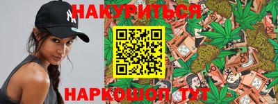 крисы Гатчина