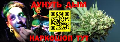 крисы Гатчина