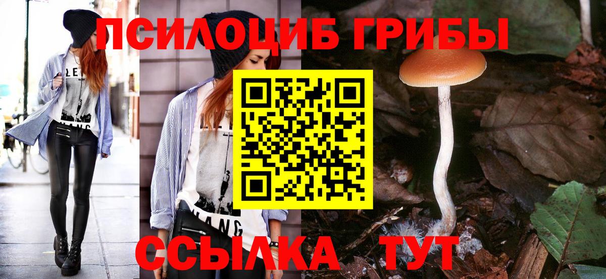 Галлюциногенные грибы прущие грибы Севастополь